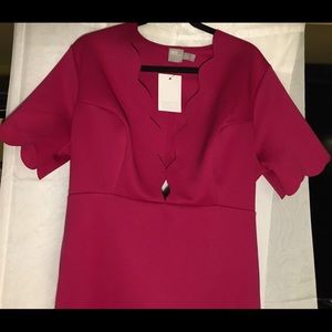 Plus size plum dress